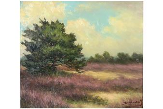 “Kempisch landschap met bloeiende erica” - Jos Stokbroeckx