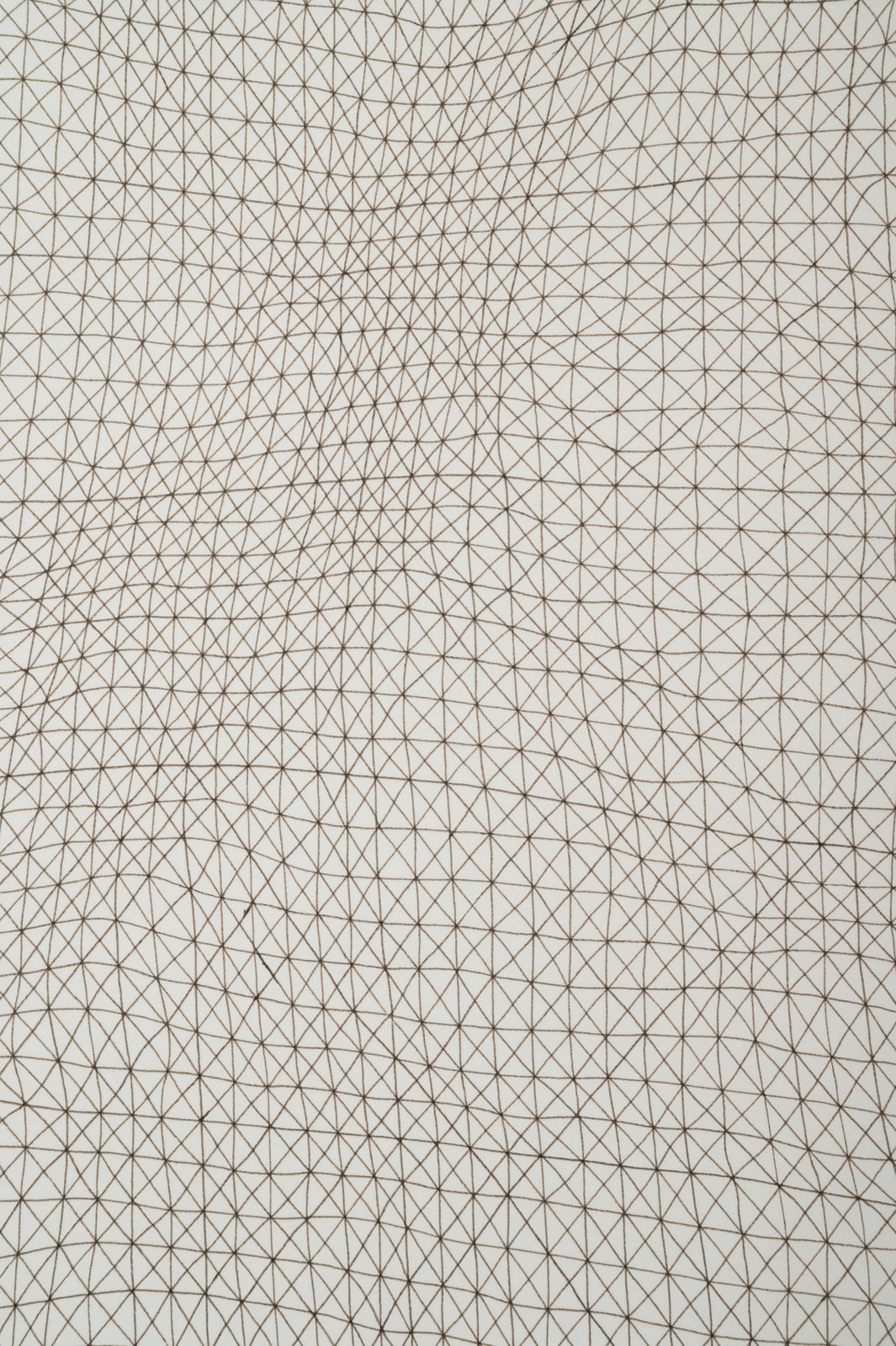 Artwork by Ben Butler, Untitled (Net), Made of graphite on paper