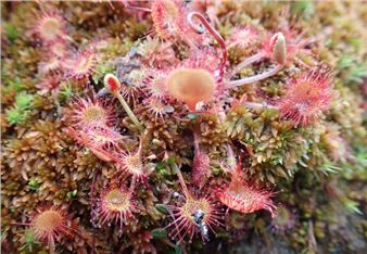 Art Encounters Foundation in Timișoara