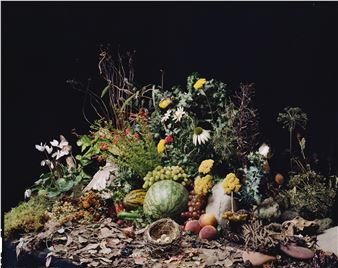 A still life arrangement of a watermelon, grapes, and wildflowers resting on a bed of fallen leaves.