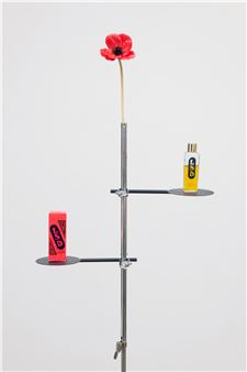 LSD Cologne - Scott Benzel