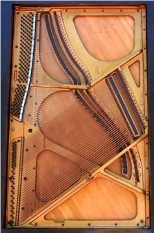 Sound Harp - Tyson Ayers