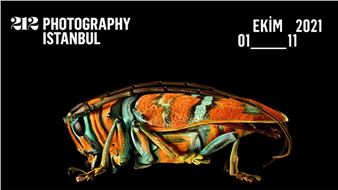 212 Photography Istanbul Across the City