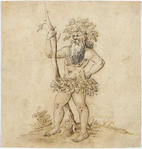 Bacchus with a grape vine by German School, 18th Century