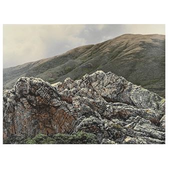 Outcrop - Richard Thomas Davis