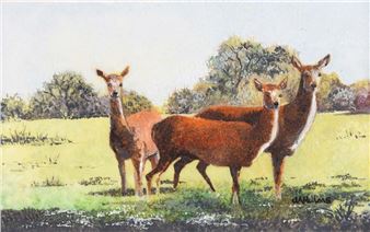 DEER LADIES - Jennifer Hulme