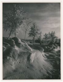 WINTER - Jiří Jeníček