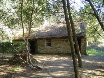 Paula Stokes: 1845: Memento Mori - Ulster Museum