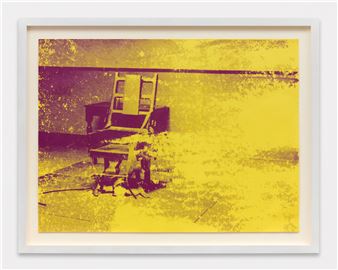 Andy Warhol: Death and Disaster - Ikon Ltd.