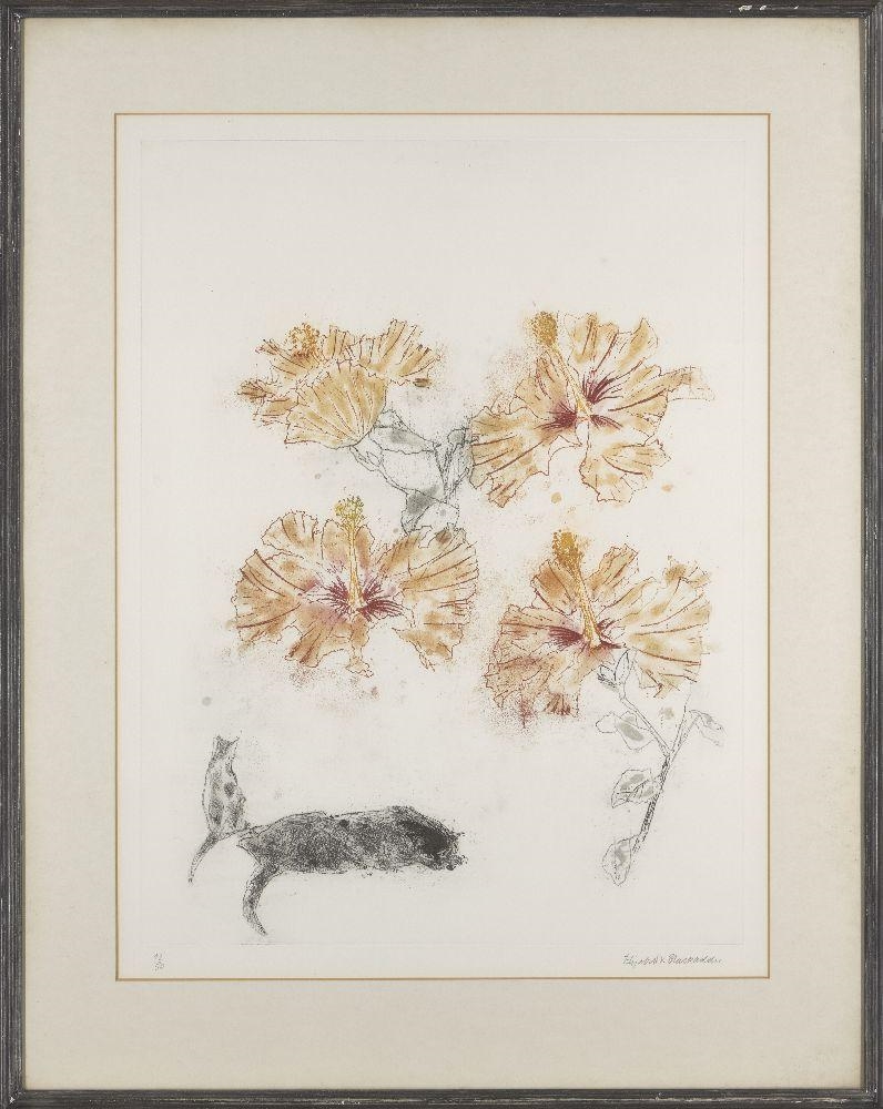 Artwork by Elizabeth Blackadder, Hibiscus & Cats, Made of etching in colours