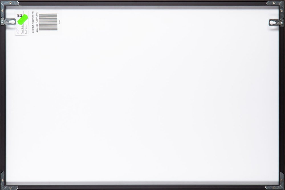 Artwork by Jacek Szmuc, From the IN-A-GADDA-DA-VIDA series (Kora and Joanna Braun), Made of pigment print