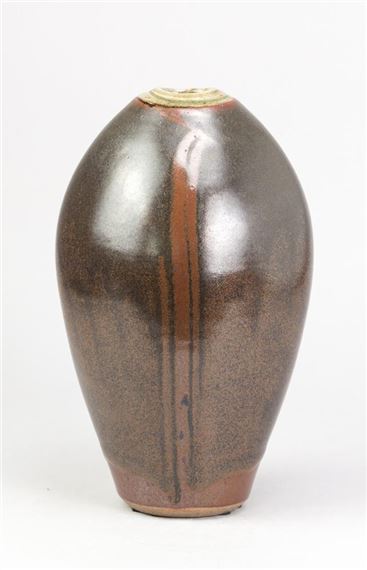 a stoneware bottle covered in tenmoku breaking to kaki glaze with wax resist decoration and green ash rim