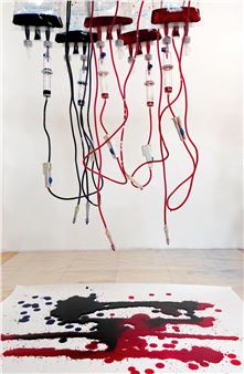 Addie Wagenknecht: Everyday The Same Again - Bitforms Gallery, New York