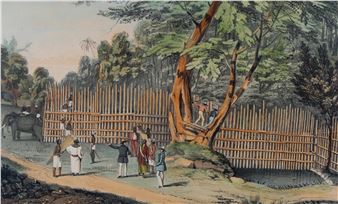 A set of 10 19th century hand coloured lithographs after Deschamps - John Deschamps