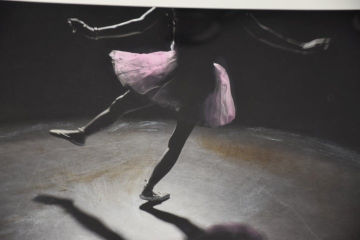 Vincent Ricardel | The Art of Dancer Form | MutualArt