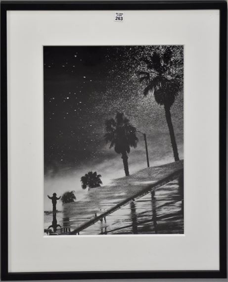 Vincent Ricardel | NIGHTS AT THE BEACH | MutualArt