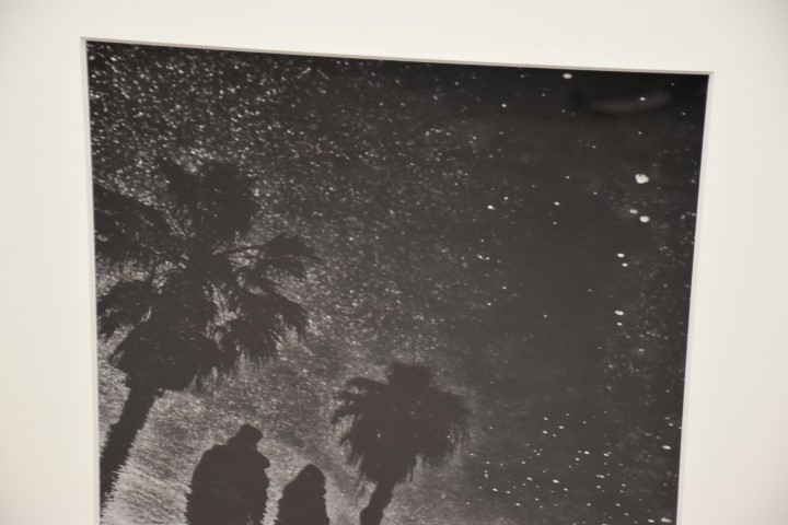 Vincent Ricardel | NIGHTS AT THE BEACH | MutualArt