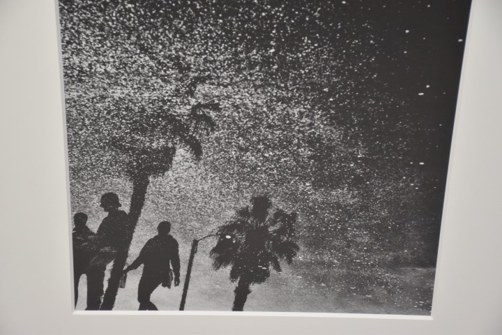 Vincent Ricardel | NIGHTS AT THE BEACH | MutualArt