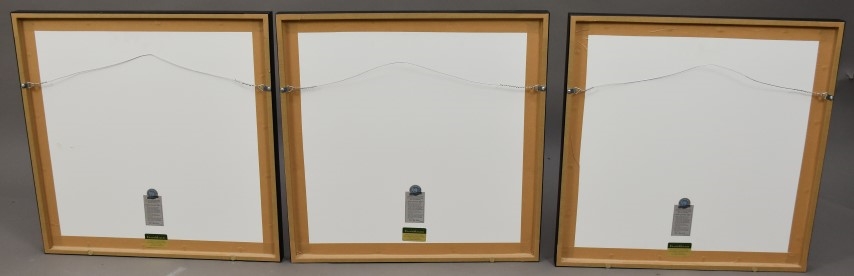 Artwork by Vincent Ricardel, Lake Scene and 2 City Scenes, Made of PRINTS