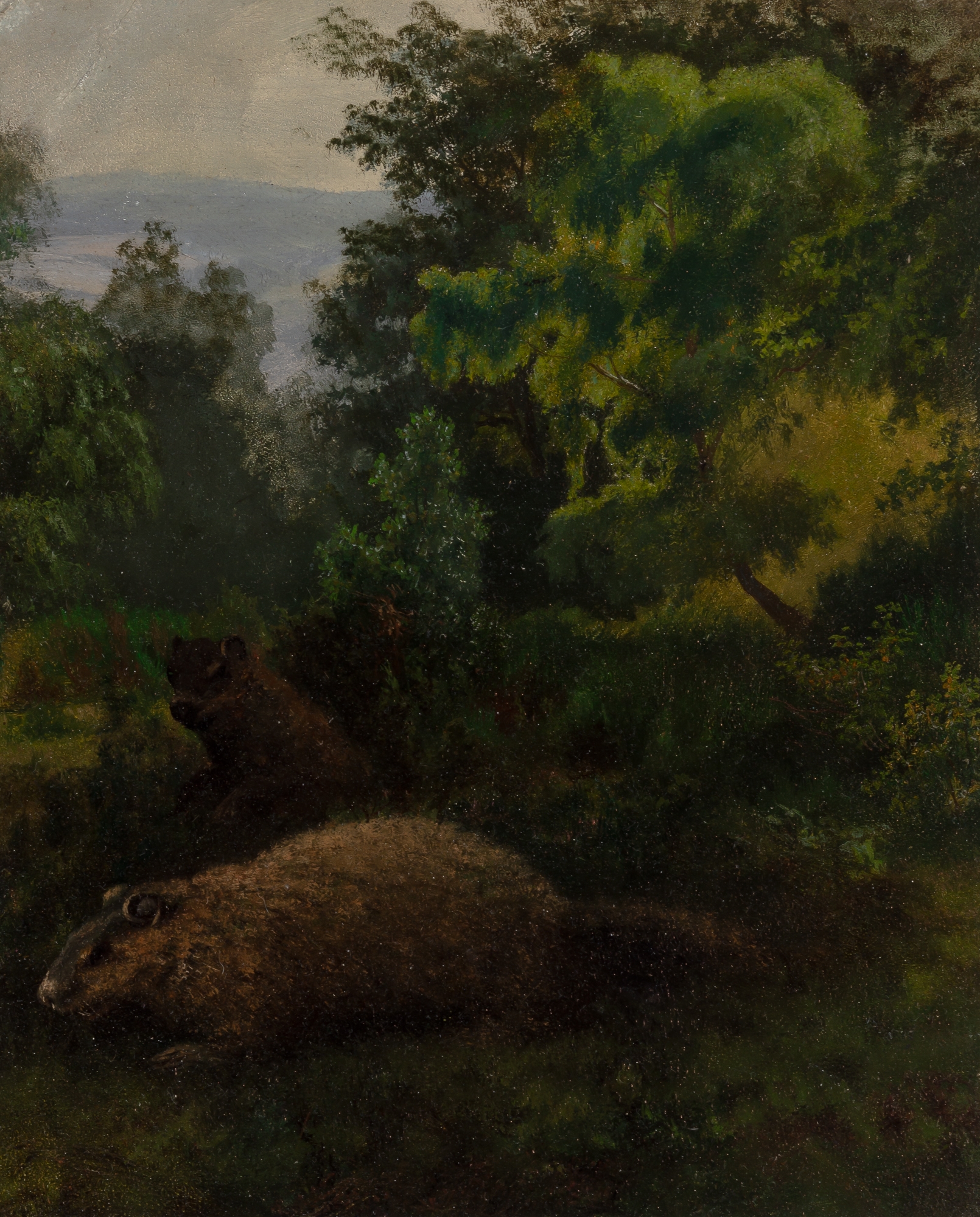 Artwork by Albert Bierstadt, Two Woodchucks in Westphalian Forest, Made of Oil on paper mounted to board