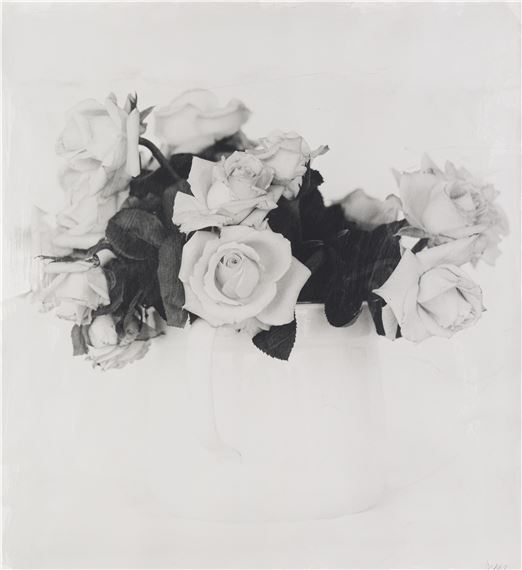 Roses by Stephen Inggs, 2003