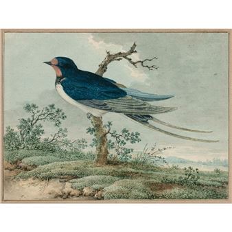 UNE HIRONDELLE DE CHEMINEE - Gerardus van Veen