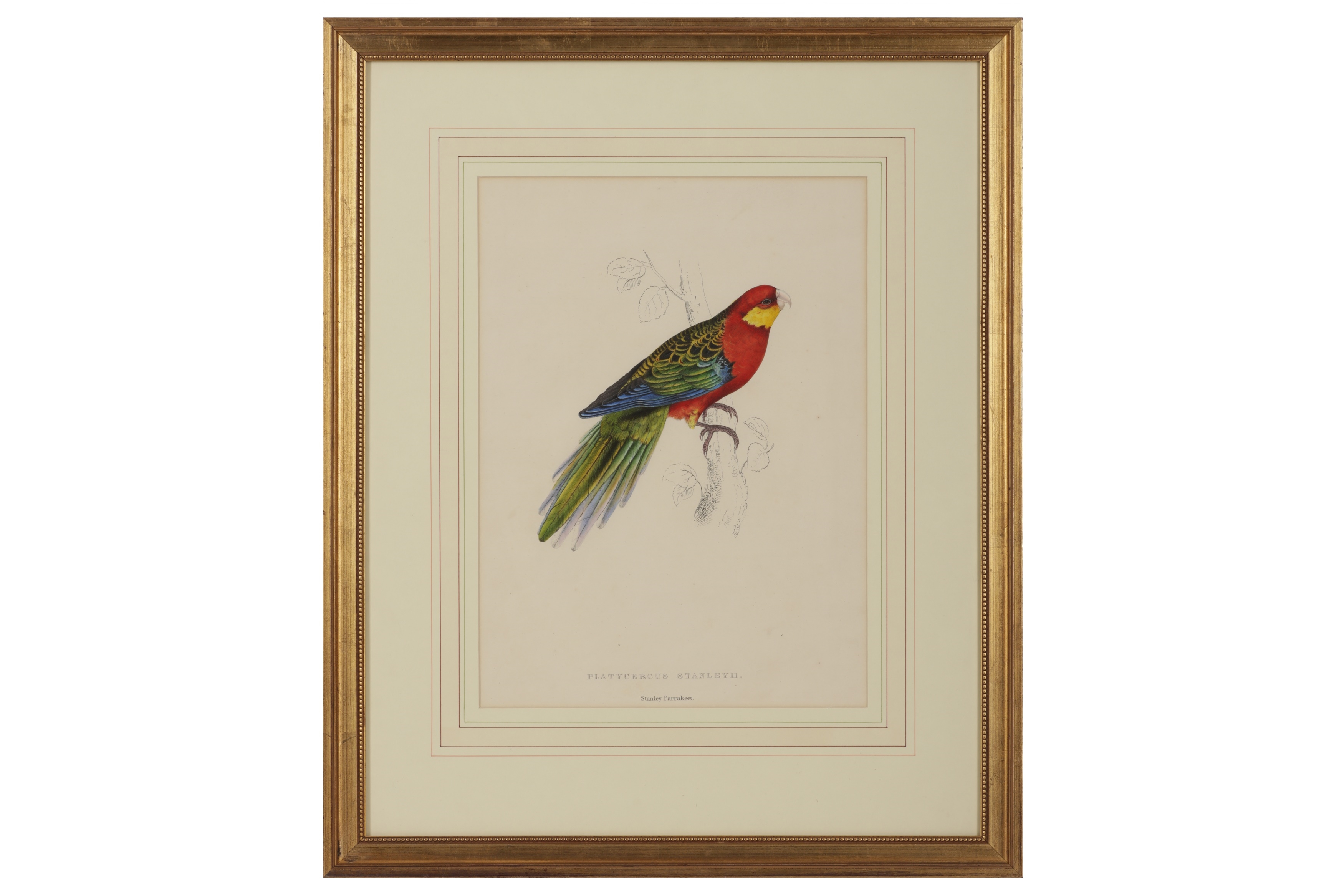 Edward Lear | A collection of five hand-coloured lithographs | MutualArt