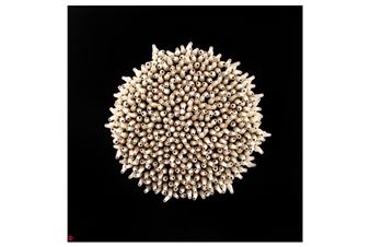 New Beginning - Petr Weigl