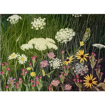 SUMMERS GARDEN, GRAFTON - Thomas Kemp Kieffer