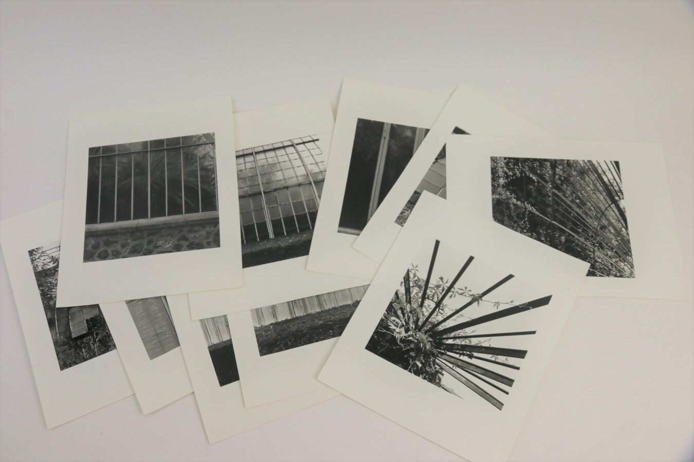 Jean-Philippe Reverdot | Greenhouse series (1982 - 1987) | MutualArt