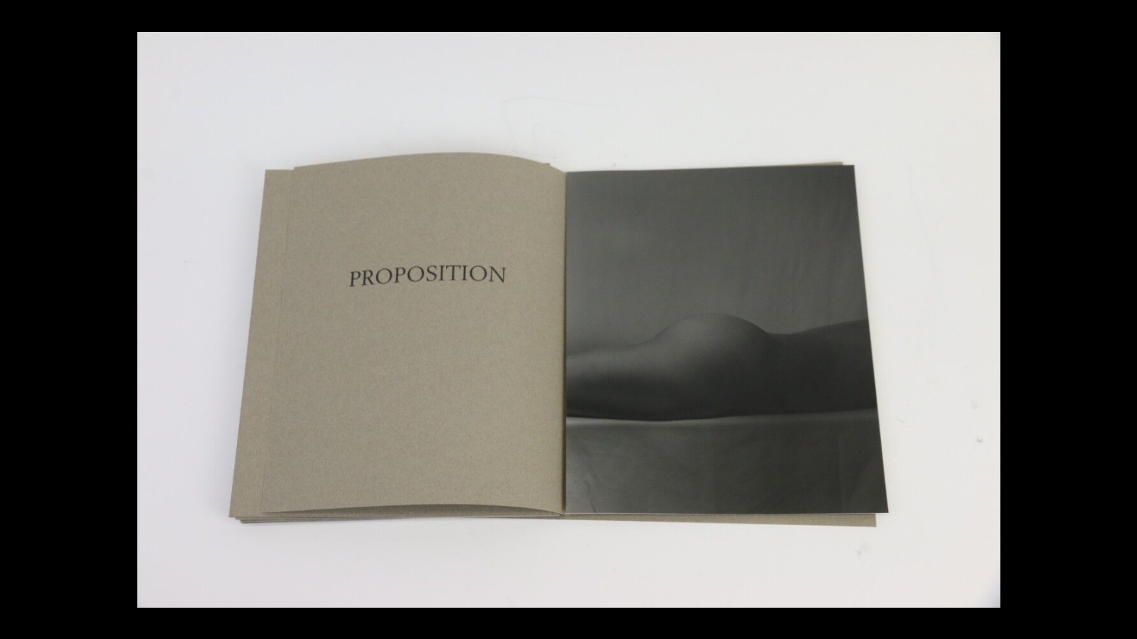 Jean-Philippe Reverdot | PROPOSALS (2001) | MutualArt