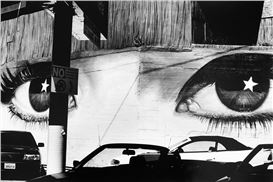 Paolo Gasparini. Field of Images