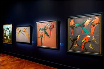 Palace of Versailles Hosts the Exhibition "The King's Animals"