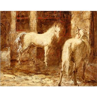 Schimmelpaar - Frank Haseler