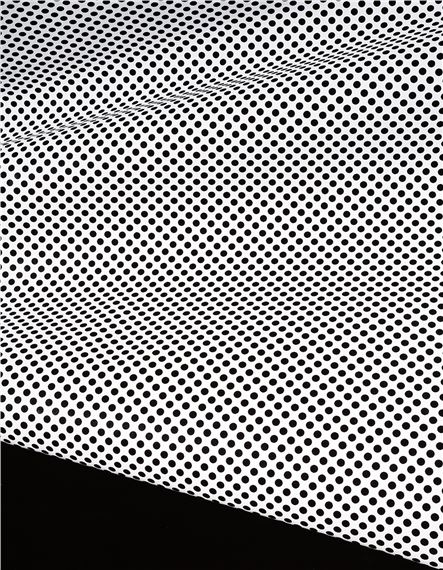 Raster-02- by Shirana Shahbazi, 2013