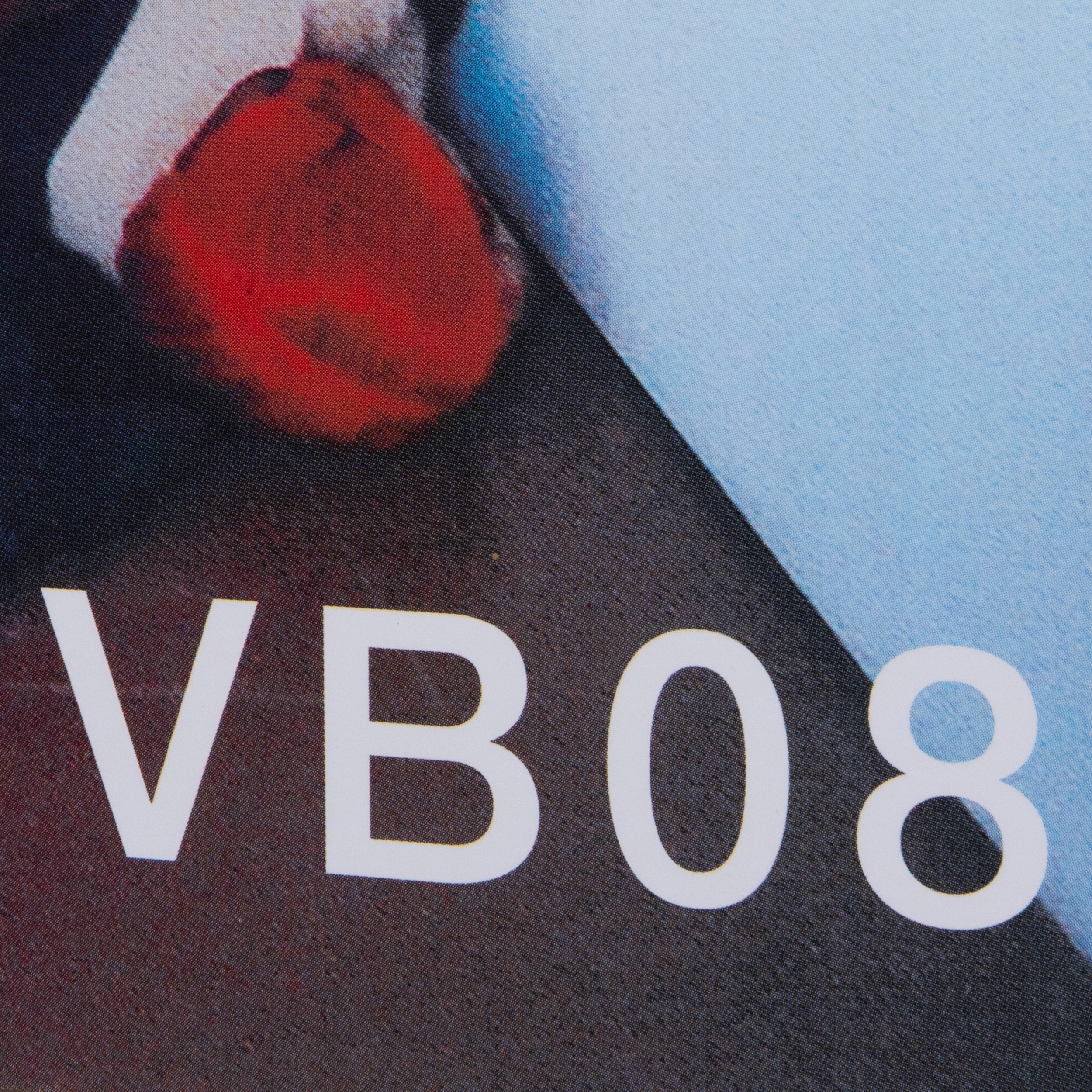 Artwork by Vanessa Beecroft, VBOB, Made of prints