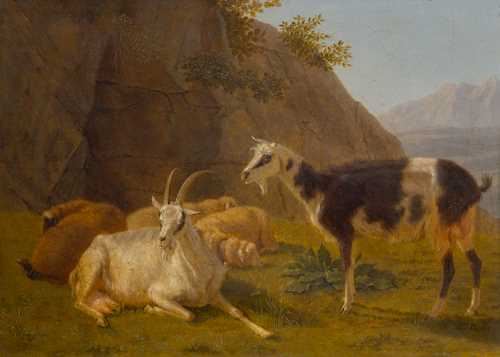 Sheep and Goats. by Johann Jakob Biedermann