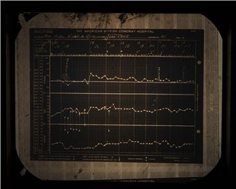 Kahlo Without Borders - Eli & Edythe Broad Art Museum at Michigan State University