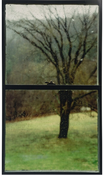 Rain Window V by Bing Wright, 1989