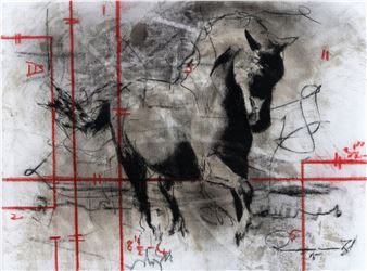 : HORSE - Riaan van Zyl
