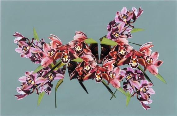 : CUT FLOWER - Steven Bosch