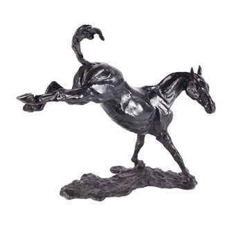 FIGHTING BUCK - Siobhan Bulfin