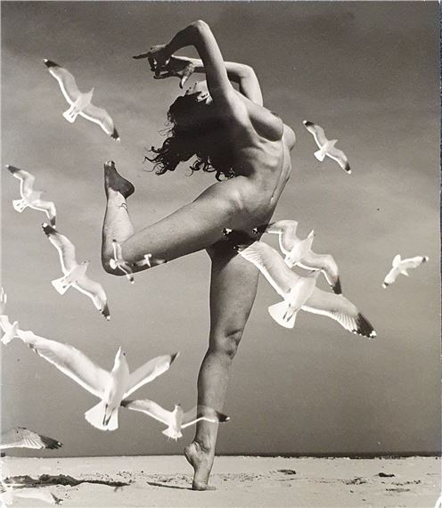 Nude Woman (on a beach with birds)