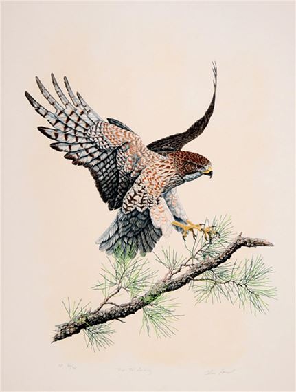 Redtail Landing by Chris Forrest, circa 1979