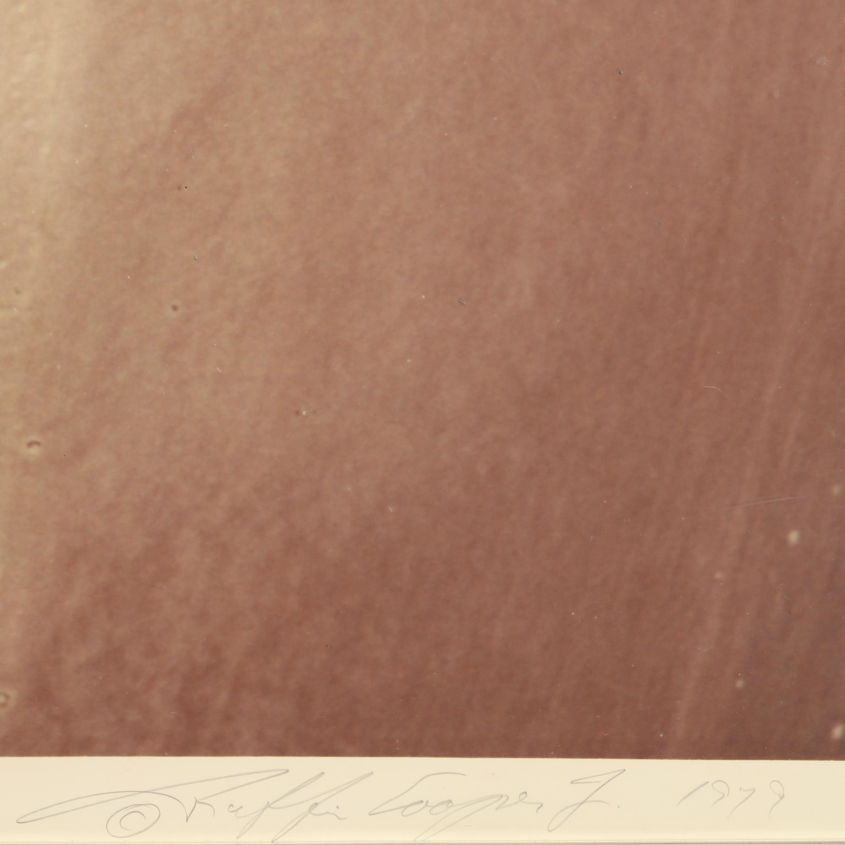 Artwork by Ruffin Cooper, Jr., Face , Torch , and Fold (Statue of Liberty), Made of Chromogenic photographs