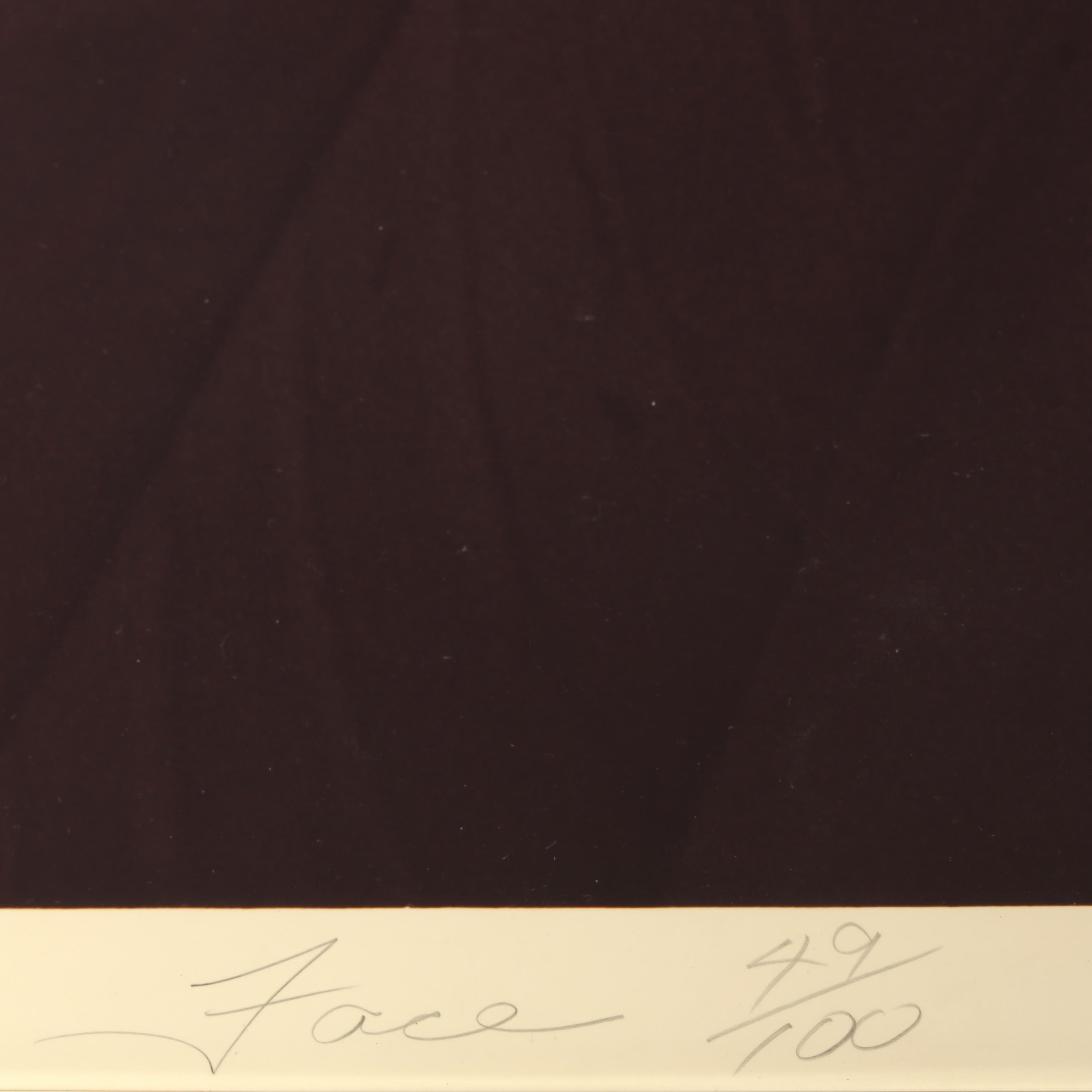 Artwork by Ruffin Cooper, Jr., Face , Torch , and Fold (Statue of Liberty), Made of Chromogenic photographs