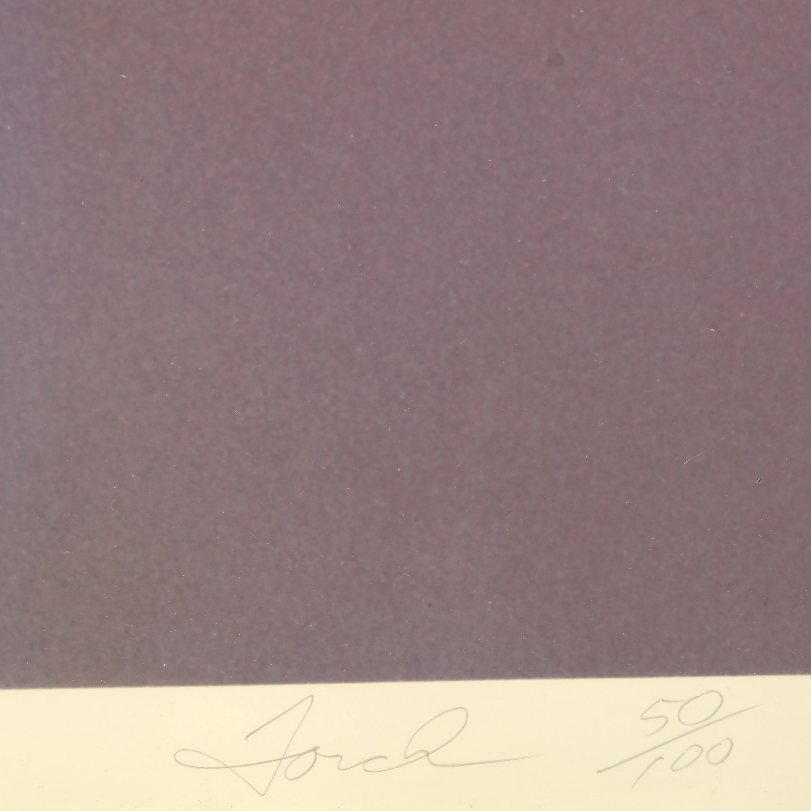 Artwork by Ruffin Cooper, Jr., Face , Torch , and Fold (Statue of Liberty), Made of Chromogenic photographs