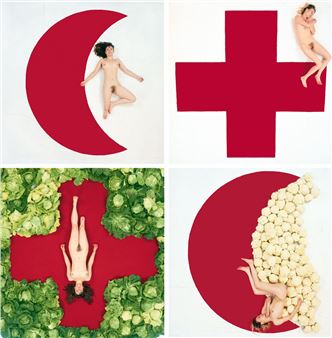 Blood Ties (set of 4 photographs) - Katarzyna Kozyra