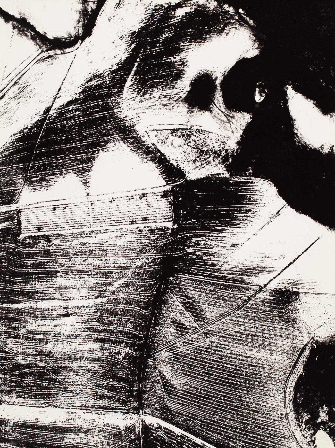 Mario Giacomelli | Landscape | MutualArt