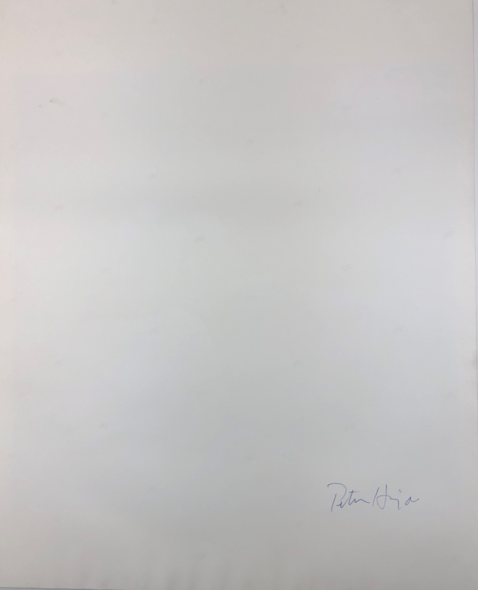 Peter Hujar Candy Darling on her Death Bed MutualArt